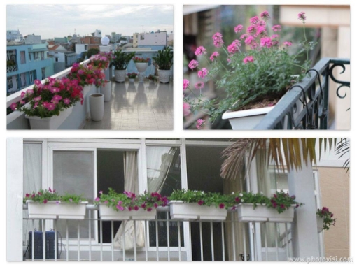 Ảnh của Khay, chậu thông minh trắng (Vừa)