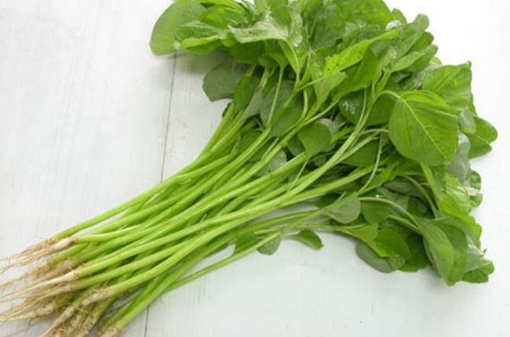 รูปภาพของ Hạt giống rau dền xanh lá tròn