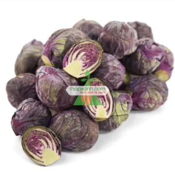 Ảnh của Hạt giống Bắp cải tí hon tím