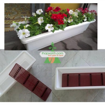 Ảnh của Khay, chậu thông minh trắng (Đại)