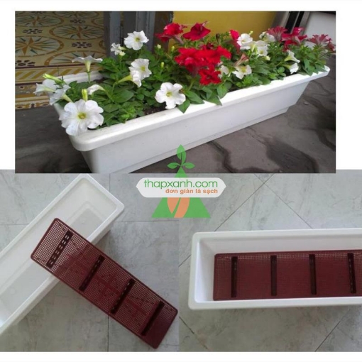 图片 Khay, chậu thông minh trắng (Đại)