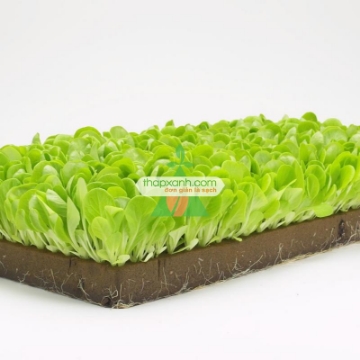 Ảnh của Bông khoáng (Rockwool, Len Đá)