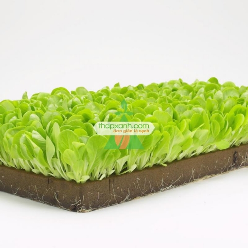 Gambar Bông khoáng (Rockwool, Len Đá)