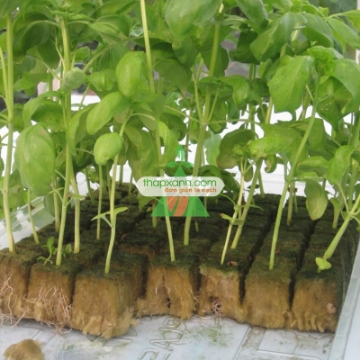 Ảnh của Bông khoáng (Rockwool, Len Đá) cả kiện