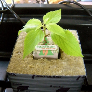 Hình ảnh cho danh mục Bông khoáng