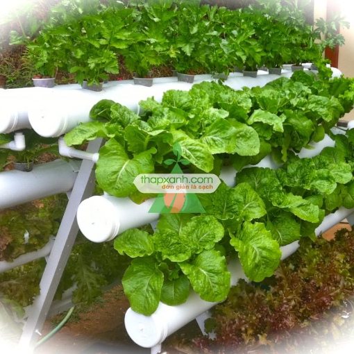Ảnh của Dàn thủy canh (Ống PVC) (/met)