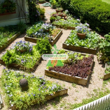 Ảnh của Luống gỗ trồng rau