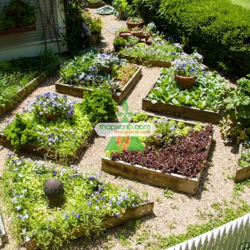 Gambar Luống gỗ trồng rau