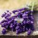 Ảnh của Hạt giống hoa Oải Hương