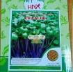 รูปภาพของ Hạt giống rau mầm củ cải đỏ malady