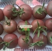 รูปภาพของ Hạt giống Cà Chua Nâu (cà chua Socola)