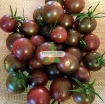 รูปภาพของ Hạt giống Cà Chua Nâu (cà chua Socola)
