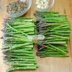 Gambar Hạt giống Măng Tây xanh (TQ)