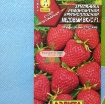 รูปภาพของ Hạt giống Dâu Tây đỏ (Strawberry)
