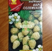 Picture of Hạt giống Dâu Tây trắng (Pineberry)