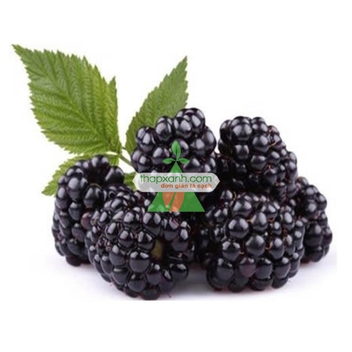 Ảnh của Hạt giống Mâm Xôi đen