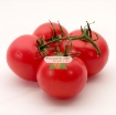 Picture of Hạt giống Cà Chua Bi đỏ (Nga)