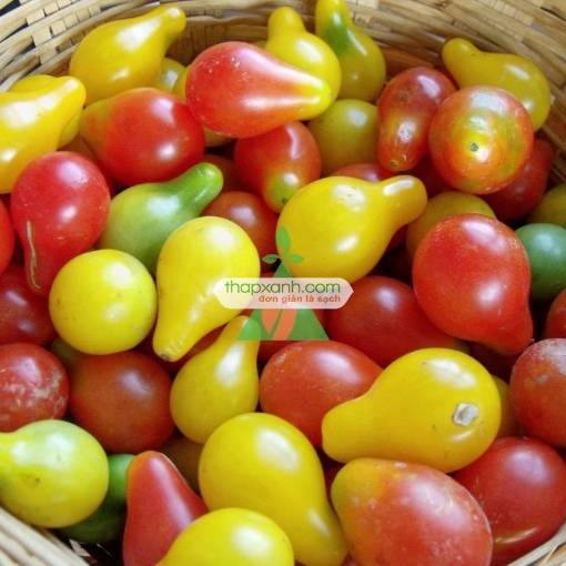 รูปภาพของ Hạt giống Cà Chua Bi mix