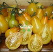 Gambar Hạt giống Cà Chua Bi trái lê (vàng)