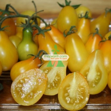 รูปภาพของ Hạt giống Cà Chua Bi trái lê (vàng)