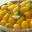 Gambar Hạt giống Cà Chua Bi trái lê (vàng)