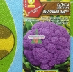 图片 Hạt giống Súp Lơ tím