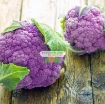 图片 Hạt giống Súp Lơ tím