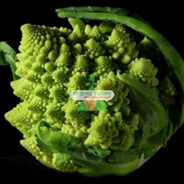 Ảnh của Hạt giống Súp Lơ San Hô