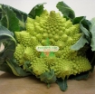 Picture of Hạt giống Súp Lơ San Hô