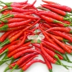 รูปภาพของ Hạt giống Ớt mix