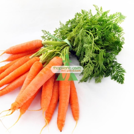 Ảnh của Hạt giống Cà rốt vàng