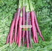 รูปภาพของ Hạt giống Cà rốt tím