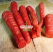 รูปภาพของ Hạt giống Cà rốt đỏ