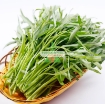 Gambar Hạt giống Rau Muống lá tre