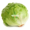 Ảnh của Hạt giống rau Xà Lách Đăm (Xà Lách cuộn)