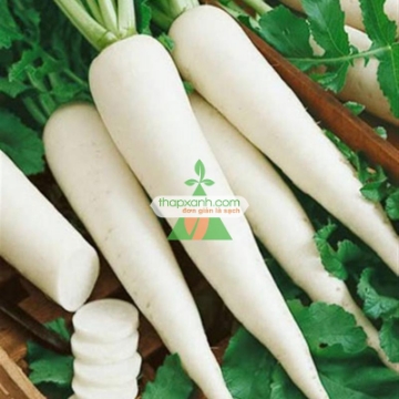 Ảnh của Hạt giống củ cải trắng