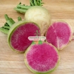 Gambar Hạt giống Củ Cải Trắng Ruột Đỏ