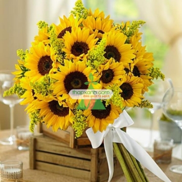 Ảnh của Hạt giống Hoa Hướng Dương cao (Mỹ)