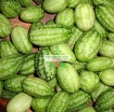 Ảnh của Hạt giống Dưa hấu tí hon