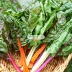 图片 Hạt giống Cải Cầu Vồng