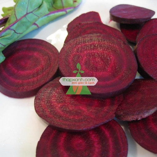 Gambar Hạt giống Củ Dền (Củ cải ngọt đỏ))