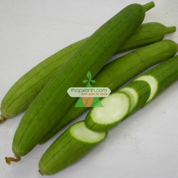 Ảnh của Hạt giống Mướp Hương Thái Lan
