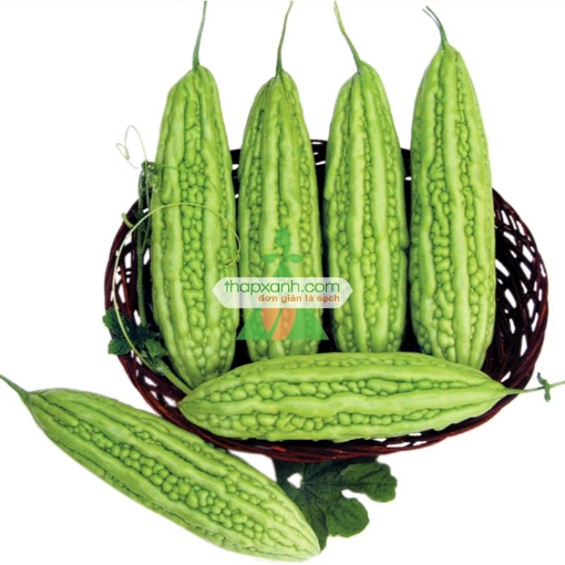 รูปภาพของ Hạt giống Mướp Đắng (Khổ  Qua)