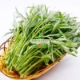 รูปภาพของ Hạt giống Rau Muống Thái Lan