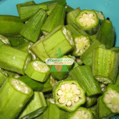 Picture of Hạt giống Đậu Bắp Xanh (Mướp tây)