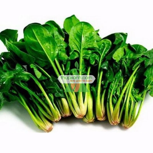Ảnh của Hạt giống rau Cải Bó Xôi (rau Chân Vịt, BiNa)
