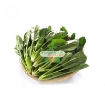 Ảnh của Hạt giống rau Cải Bó Xôi (rau Chân Vịt, BiNa)