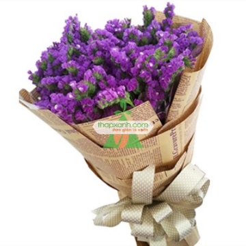 Gambar Hạt giống hoa SaLem Xanh (Salem Tím)