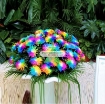 รูปภาพของ Hạt giống hoa Cúc Cầu Vồng