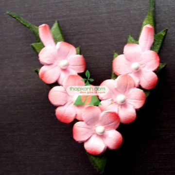 รูปภาพของ Hạt giống Hoa Lưu Ly (Forget Me Not) hồng